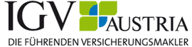 IGV Logo